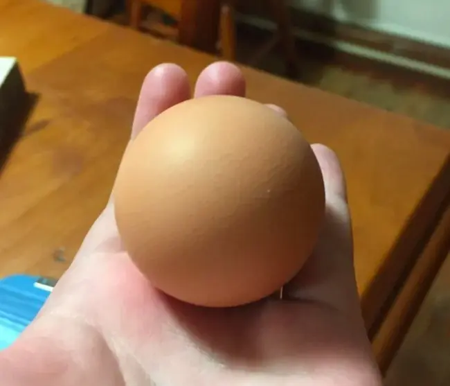 Completely round egg