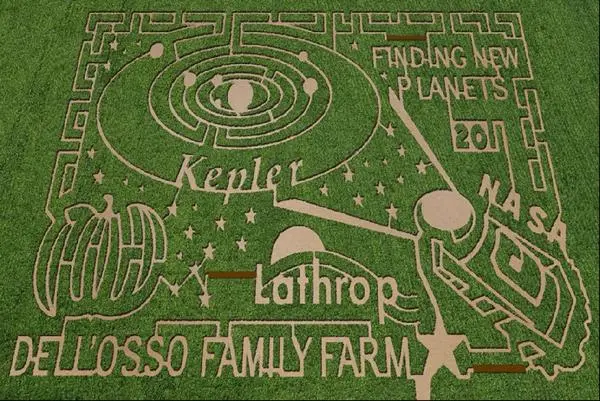 Corn Labyrinth (2)