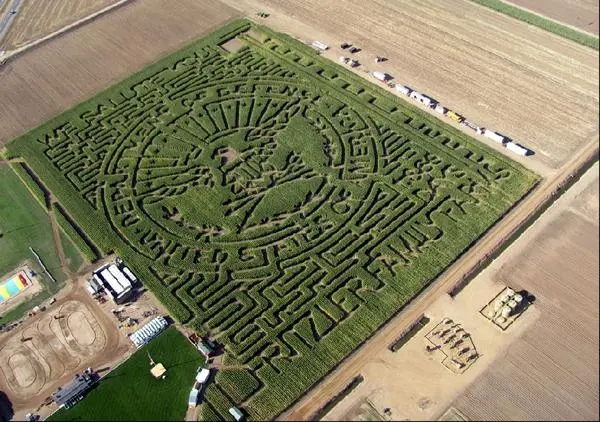 Corn Labyrinth (24)