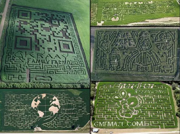 Corn Labyrinth (6)