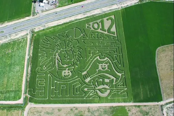 Corn Maze (25)