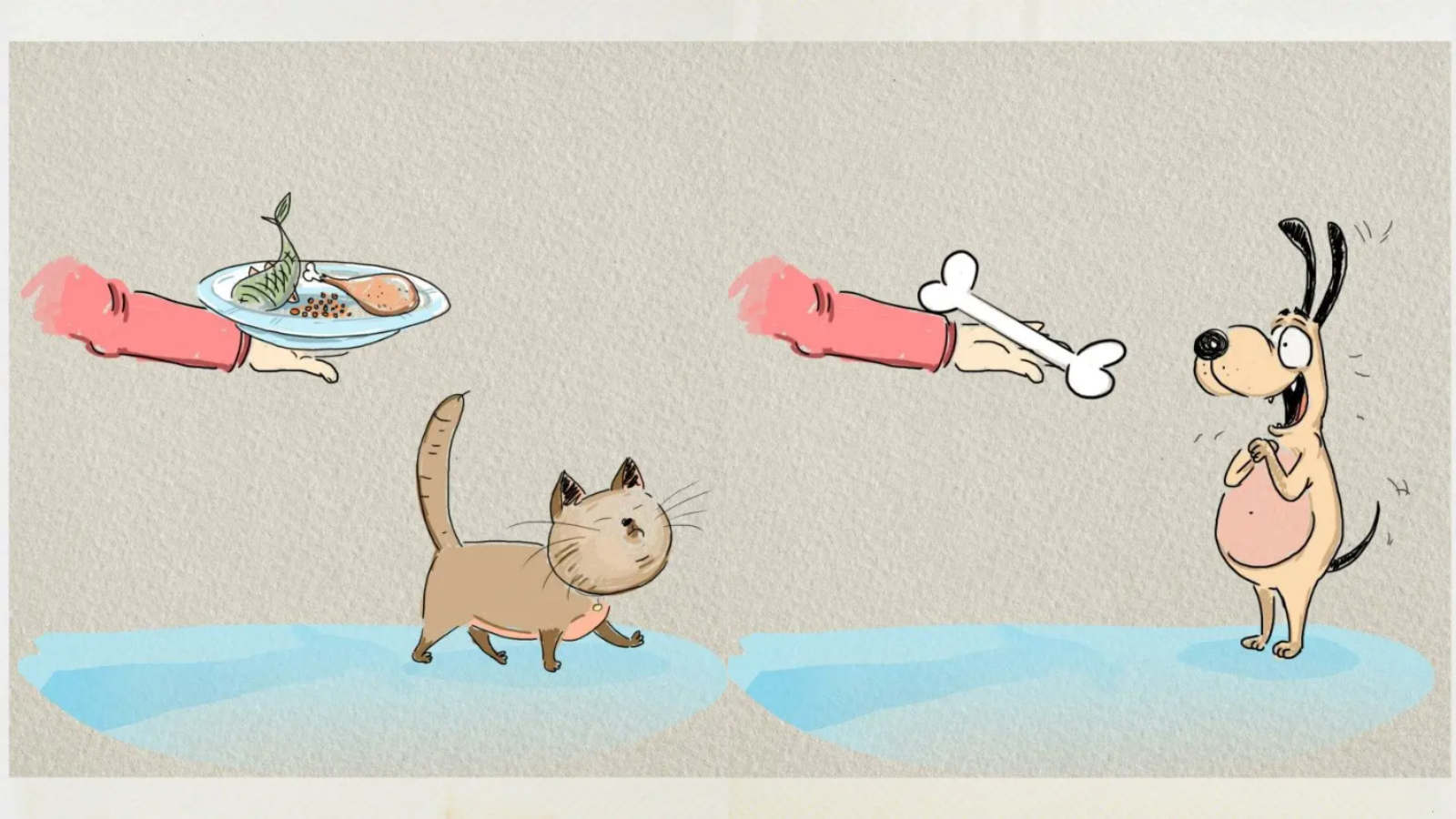 Differences Dogs And Cats In Illustrations