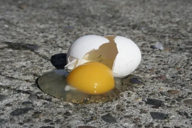 Egg lying on the road