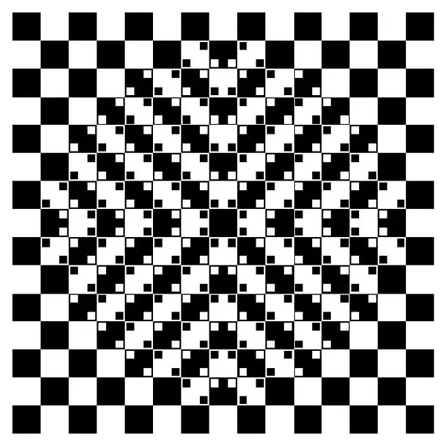 Examples of Optical Illusions (1)