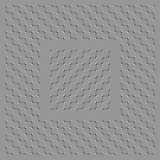 Examples of Optical Illusions (2)