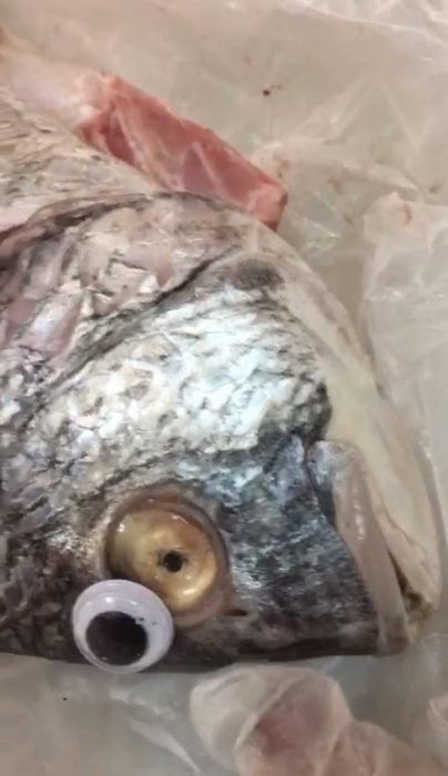 Expired fish