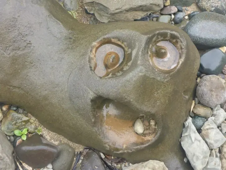 Face on a rock