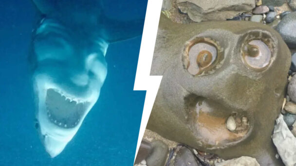 Glitches In The Matrix