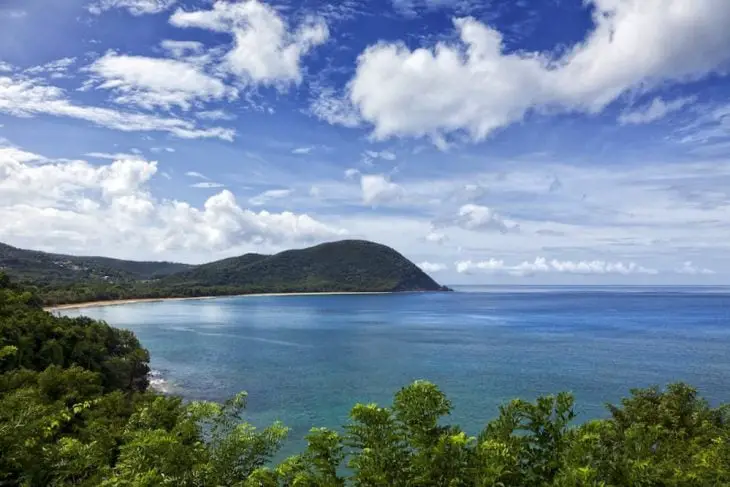 Guadeloupe Island 
