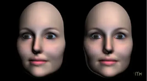 Hollow Mask Illusion