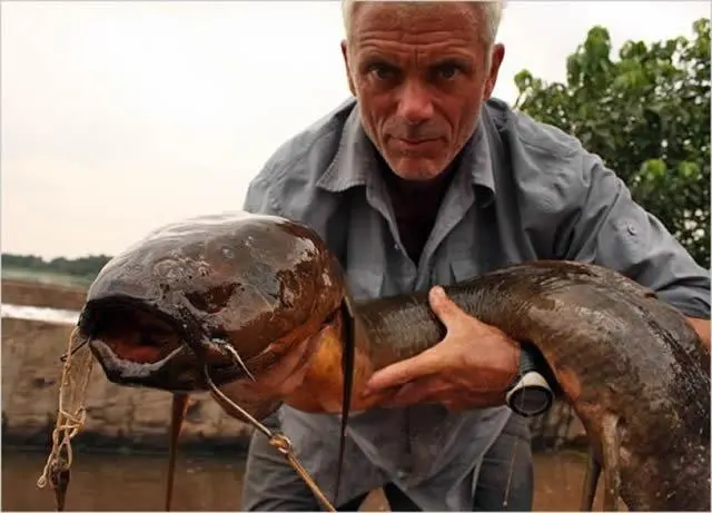 Jeremy Wade River Monsters (10)