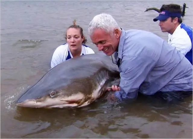 Jeremy Wade River Monsters (19)