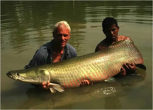 Jeremy Wade River Monsters (20)