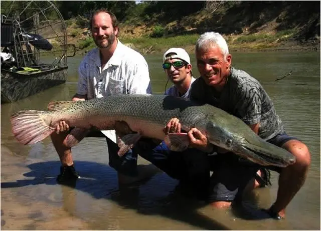 Jeremy Wade River Monsters (21)