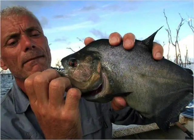 Jeremy Wade River Monsters (6)