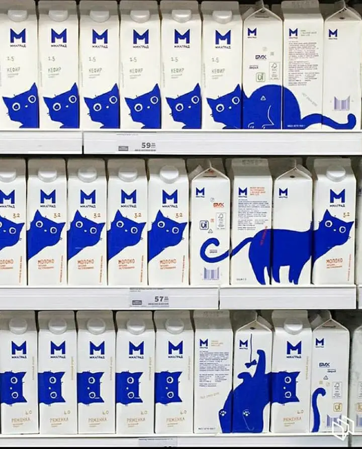 Milk crates with cat design