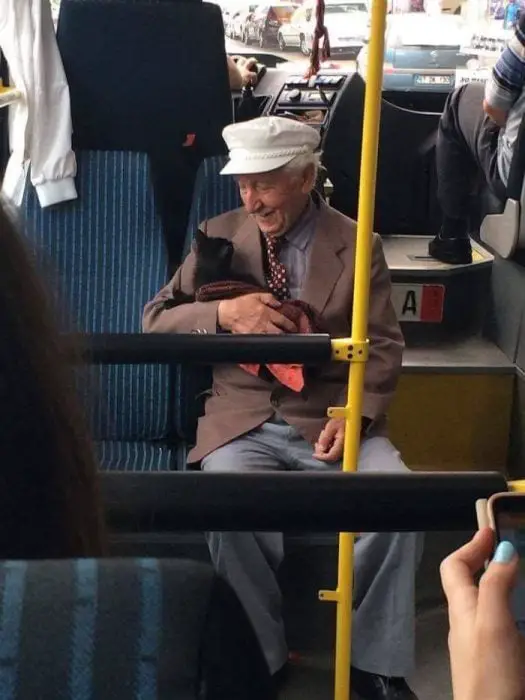 Old Man and Kitten 