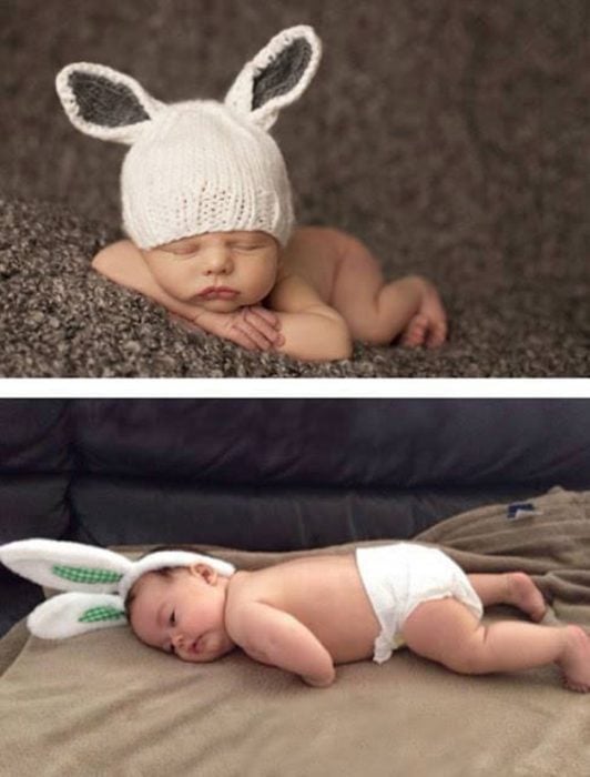 Photo baby bunny fail