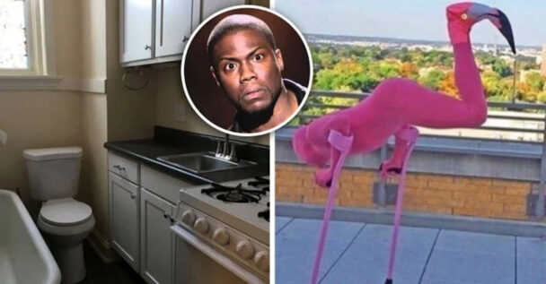 Photos More Of Questions Than Answers