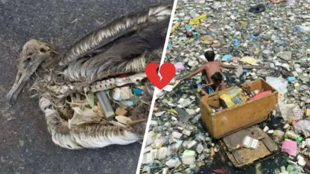 Photos Show Devastating Impact Of Humans On Planet