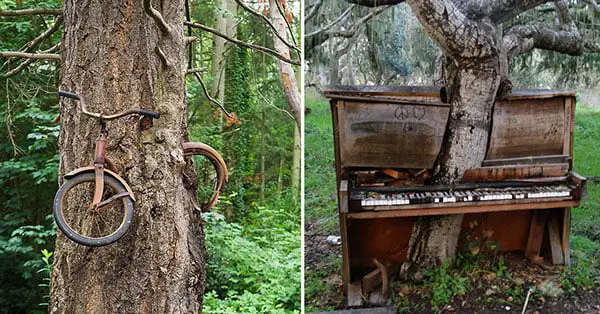 Photos Of Nature Reclaiming What Is Theirs