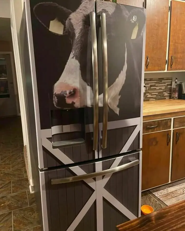 Refrigerator with cow decal