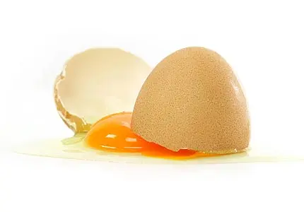 Scrambled egg