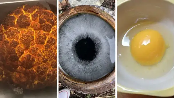 Things That Aren't What They Look Like