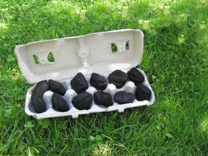USE AN EXPENSIVE CARDBOARD EGG CUP TO HIDE THE CHARCOAL INSIDE THE REFRIGERATOR, AND REMOVE BAD ODORS IN STYLE