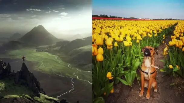 Majestic Nature Photos Prove Happiness Lies In Nature