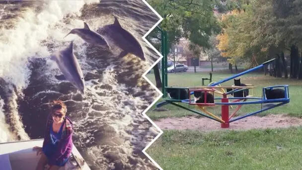 Most Awkward Situations Captured On Camera