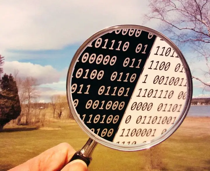 reality by analyzing fake news