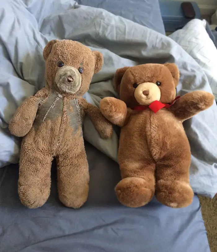 teddy bears wear