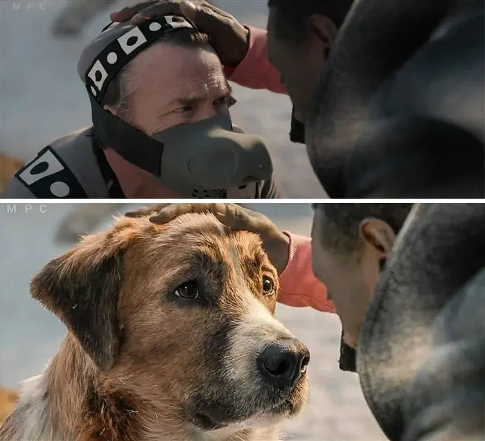 Behind-the-scenes Effects (16)