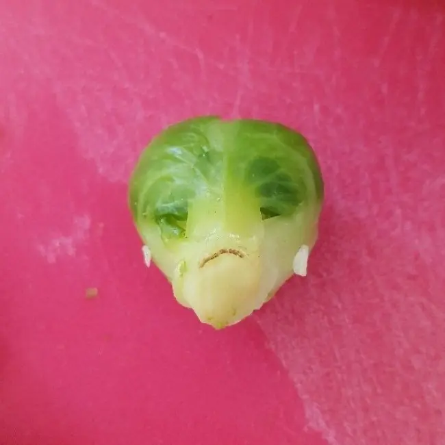 Boring Brusselsela Cabbage