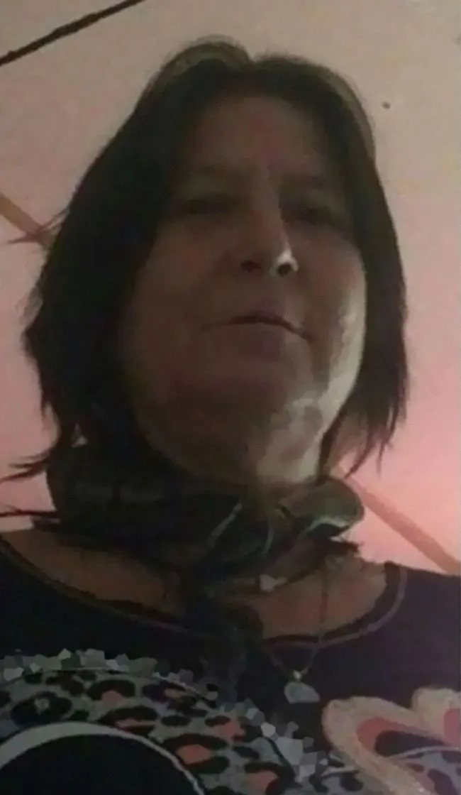 Celebrity lookalikes (10)