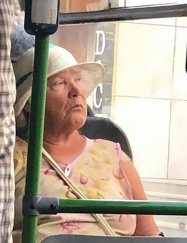 Celebrity lookalikes (22)