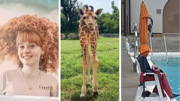 Confusing & Weird Photographs