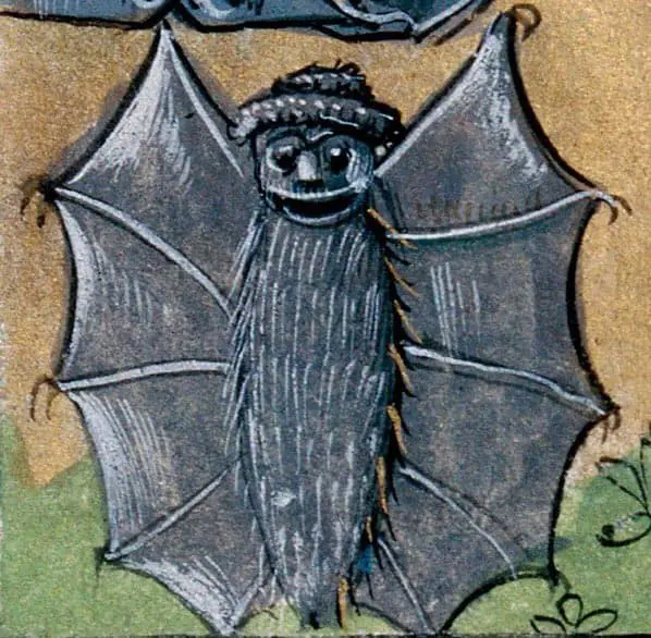 Funny Medival Cartoons Bat with Hat 1