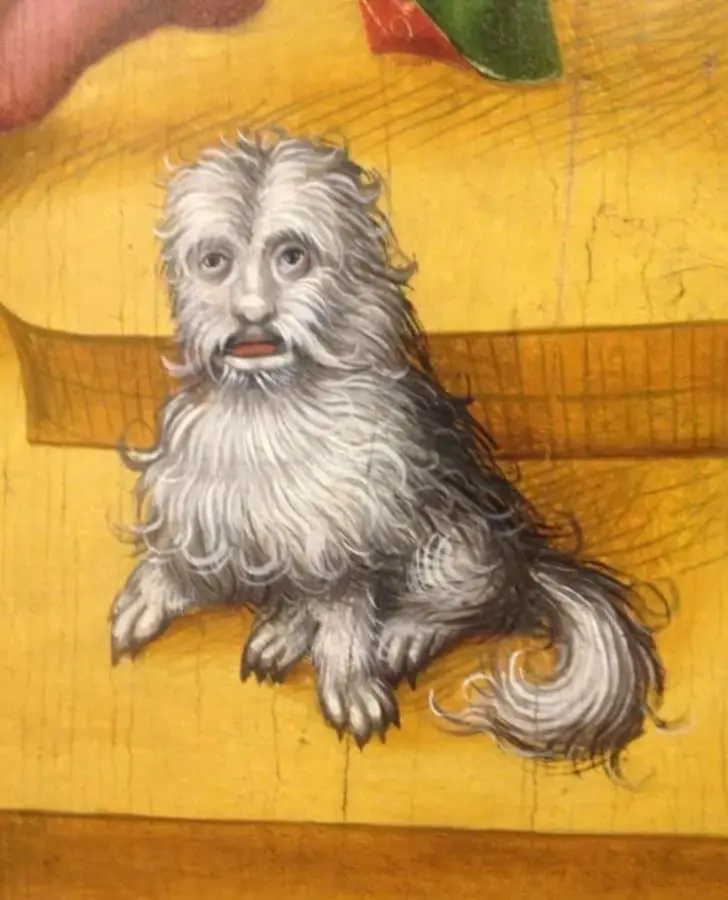 Funny Medival Cartoons Dog With Human Face