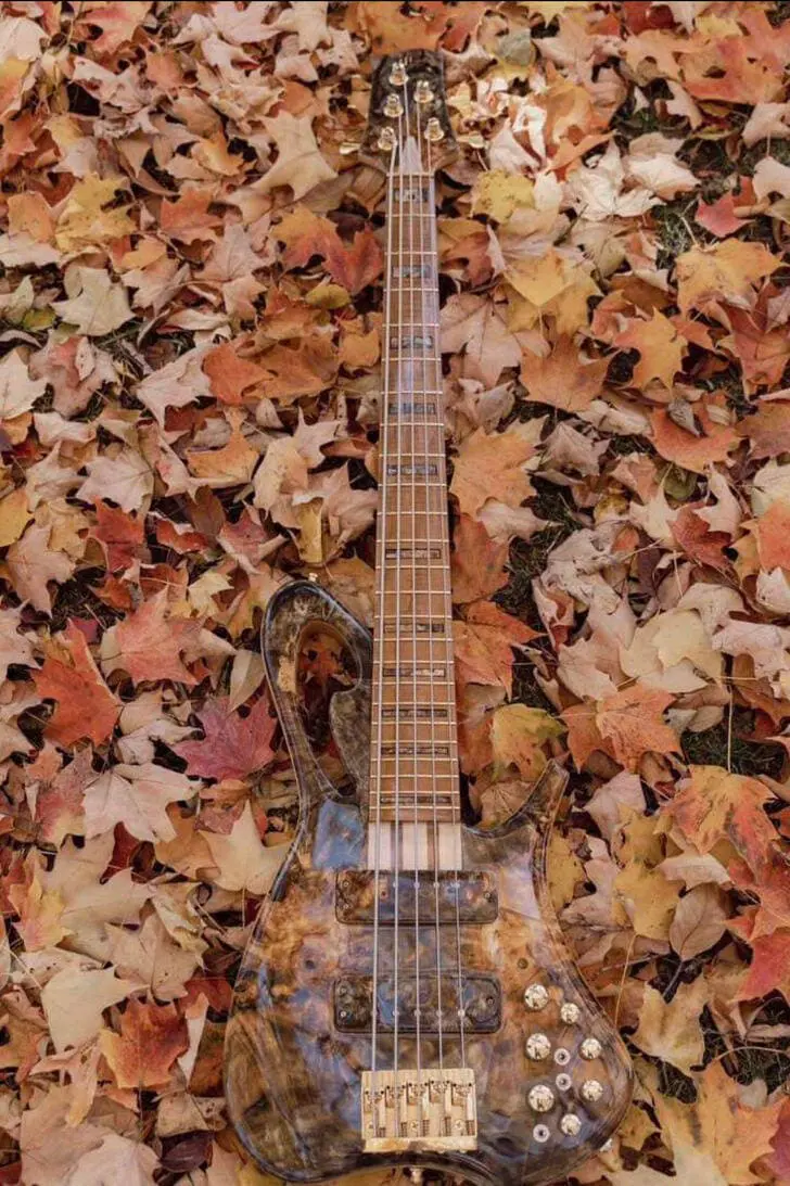 Guitar Leaf Pattern Effect