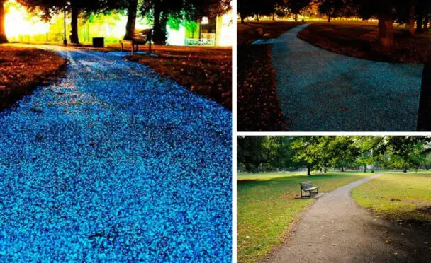 Illuminated Smart Pavement