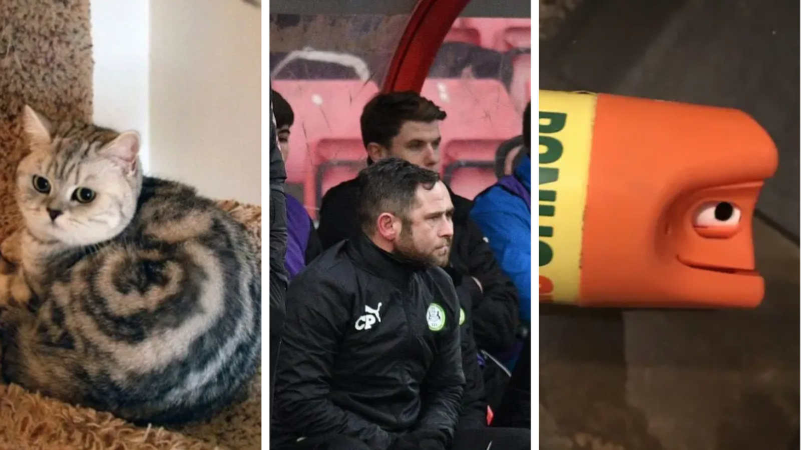 Images & Imagination