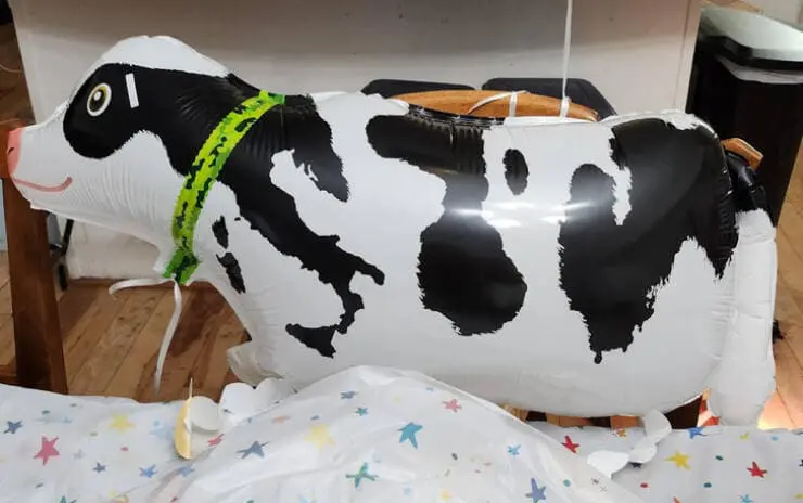 Inflatable cow with pattern from Italy