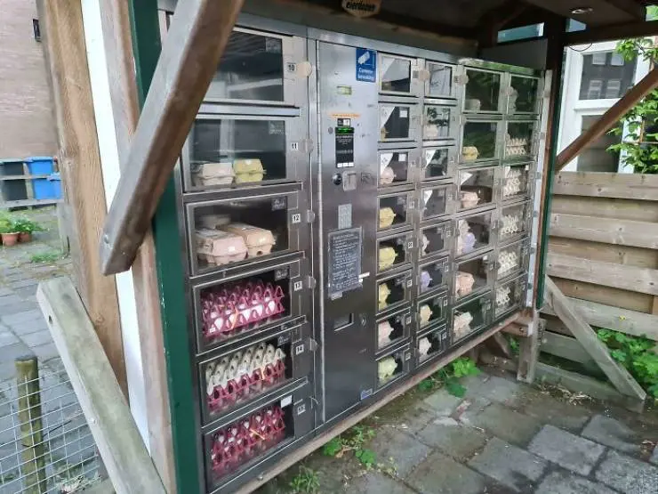 Interesting Vending Machines (19)