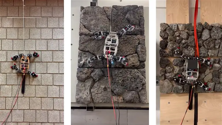 This robot is capable of climbing walls and inspired by nature