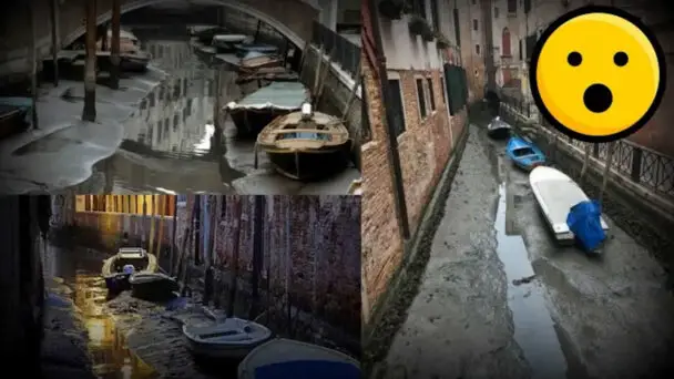 Venices Canals Dried Up