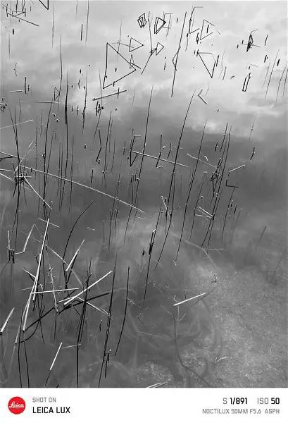 You no longer need a Xiaomi to take photos with Leica style