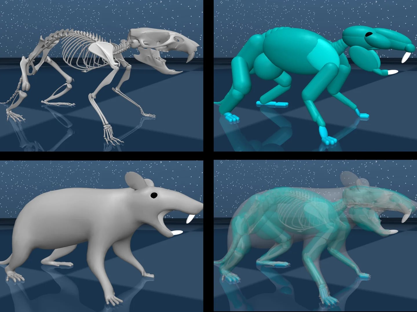 This work serves as a pathway for further research