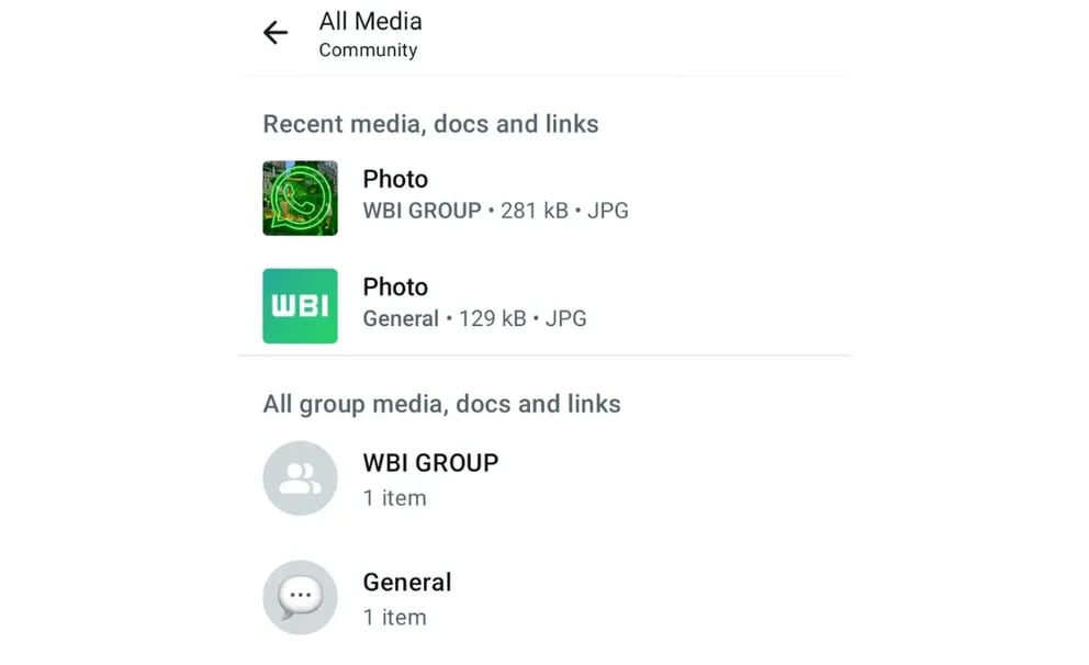 Whatsapp section will give users information to manage their storage memory